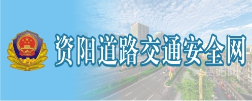 老外日逼资阳道路交通安全网