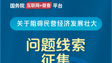 操女优逼国务院“互联网+督查”平台公开征集阻碍民营经济发展壮大问题线索